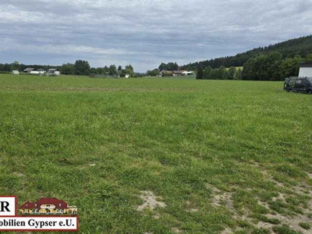 Grundstück kaufen in Schalchen, Oberösterreich