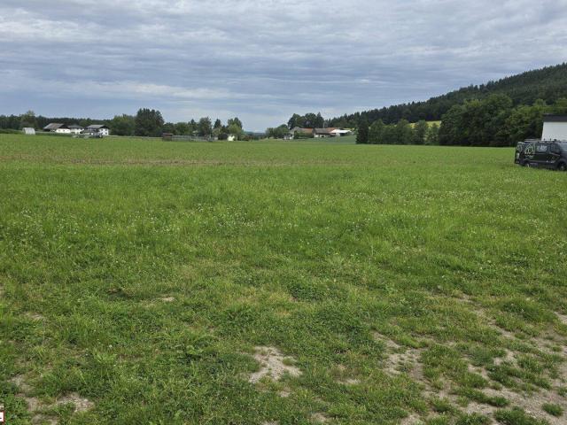 Immobilie kaufen in Weinberg, Schalchen