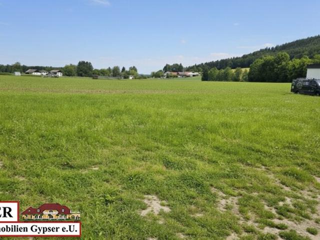 Grundstück kaufen in Schalchen, Oberösterreich