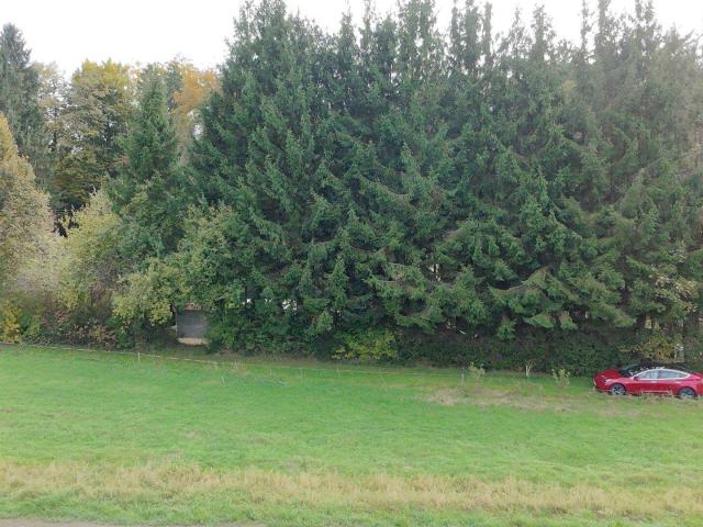 Immobilie kaufen in Schiefling am Wörthersee, Kärnten