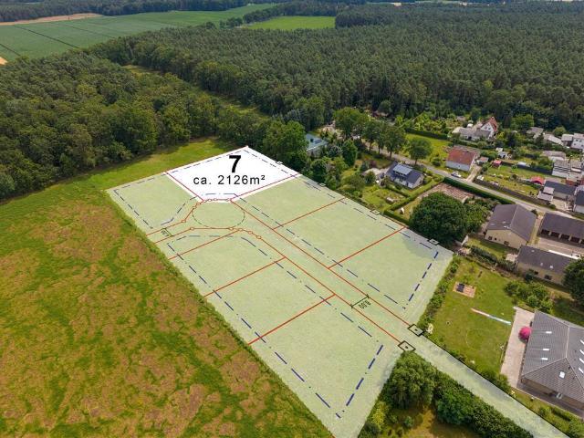 Erdgeschosswohnung kaufen in Dedelstorf, Niedersachsen