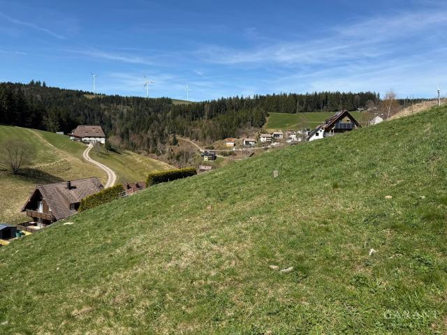 Landwirtschaft kaufen in Gütenbach, Baden-Württemberg