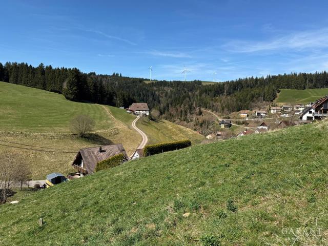 Landwirtschaft kaufen in Gütenbach, Baden-Württemberg