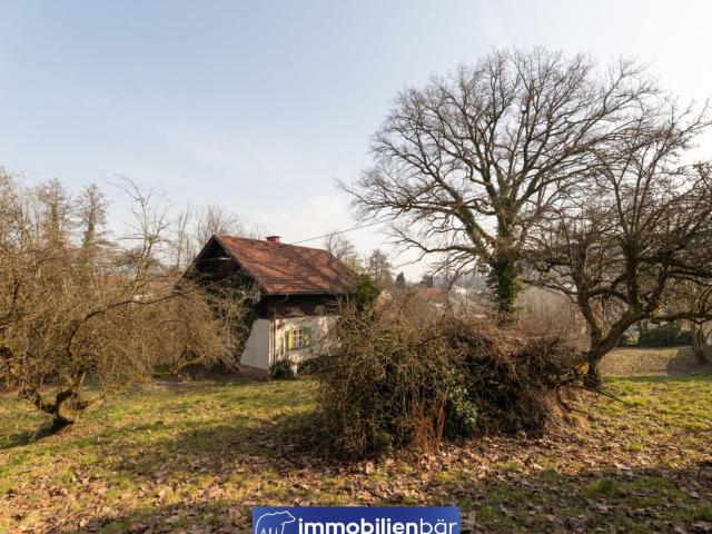 Grundstück kaufen in Leonding, Oberösterreich