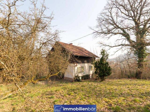 Immobilie kaufen in Holzheim, Leonding