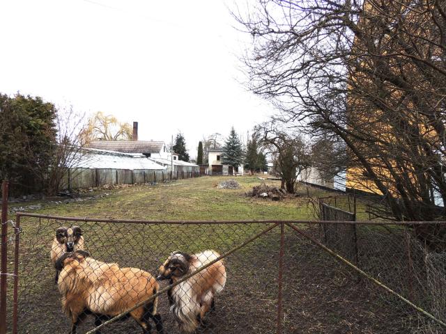 Landwirtschaft kaufen in Aken (Elbe), Anhalt-Bitterfeld