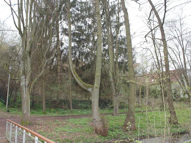 Landwirtschaft kaufen in Bad Wildungen, Hessen