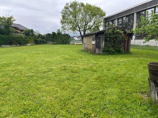 Grundstück kaufen in Hard, Vorarlberg