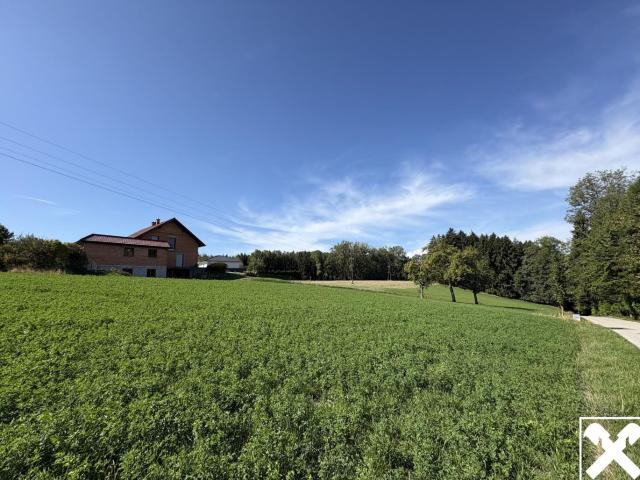 Grundstück kaufen in Pennewang, Bezirk Wels-Land
