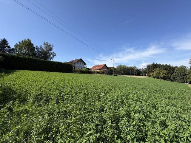 Grundstück kaufen in Bezirk Wels-Land, Oberösterreich
