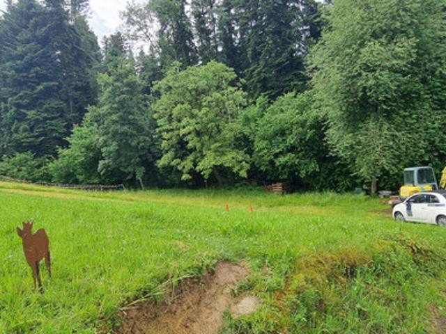 Grundstück kaufen in Hohenweiler, Vorarlberg