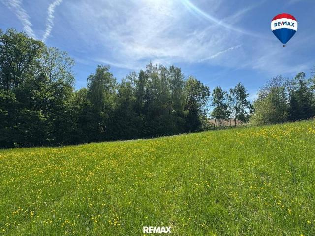 Grundstück kaufen in Eferding, Oberösterreich