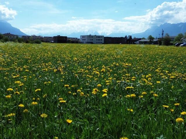 Grundstück kaufen in Klaus, Vorarlberg