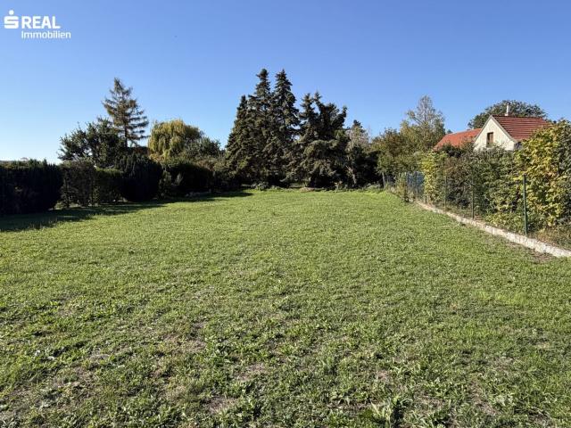 Grundstück kaufen in Potzneusiedl, Bezirk Neusiedl am See