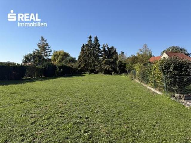 Grundstück kaufen in Potzneusiedl, Bezirk Neusiedl am See