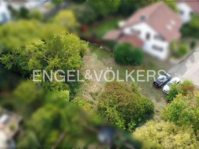Erdgeschosswohnung kaufen in Ingelheim am Rhein, Landkreis Mainz-Bingen