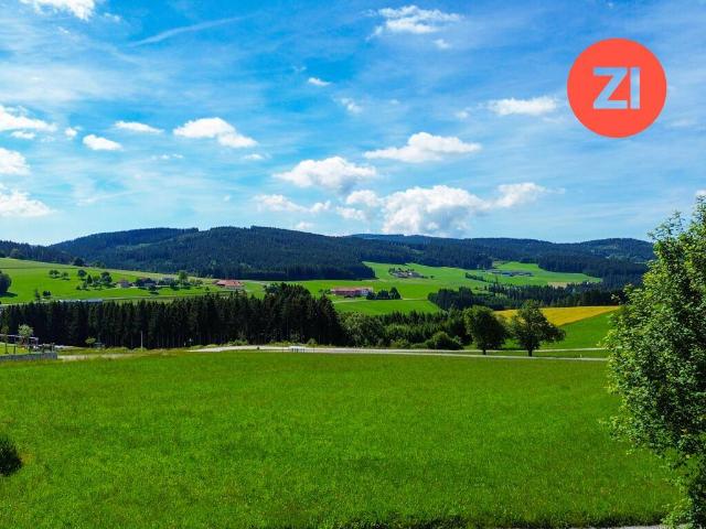 Immobilie kaufen in Zwettl an der Rodl, Oberösterreich