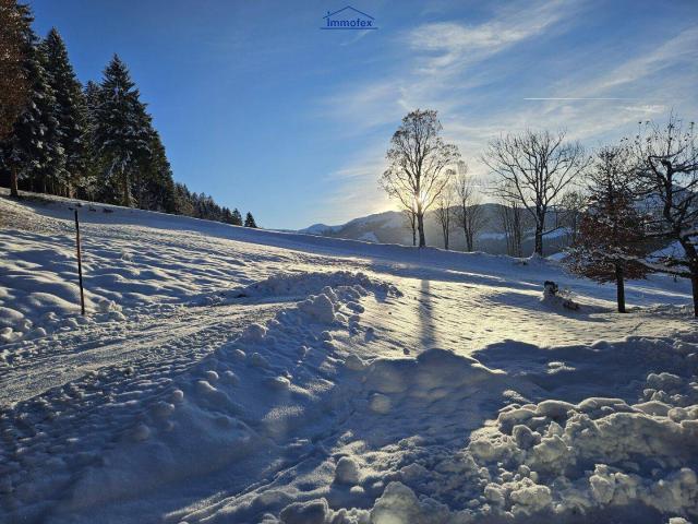 Immobilie kaufen in Wildschönau, Tirol