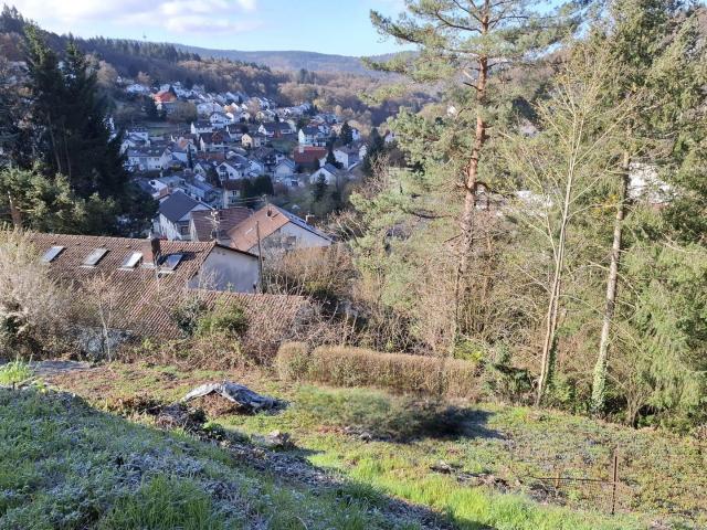 Erdgeschosswohnung mieten in Altenbach, Schriesheim