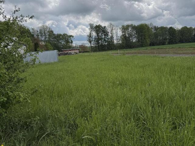 Landwirtschaft kaufen in Scheßlitz, Bayern