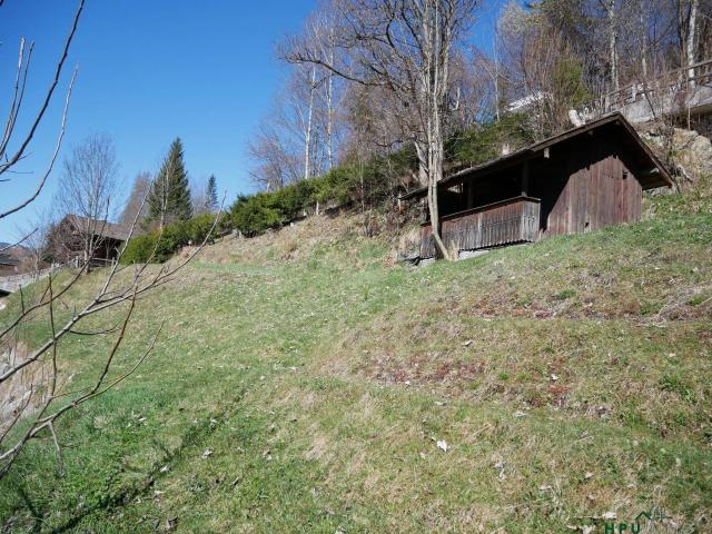 Immobilie kaufen in Radstadt, Salzburg