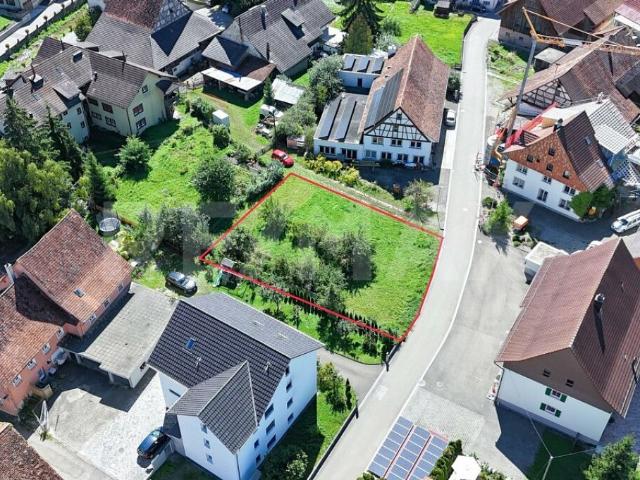 Immobilie kaufen in Schleitheim, Schaffhausen