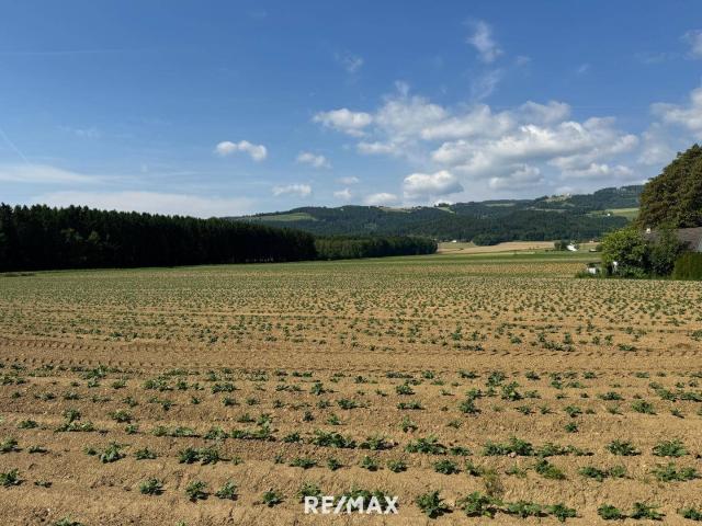 Immobilie kaufen in St. Marien, Oberösterreich