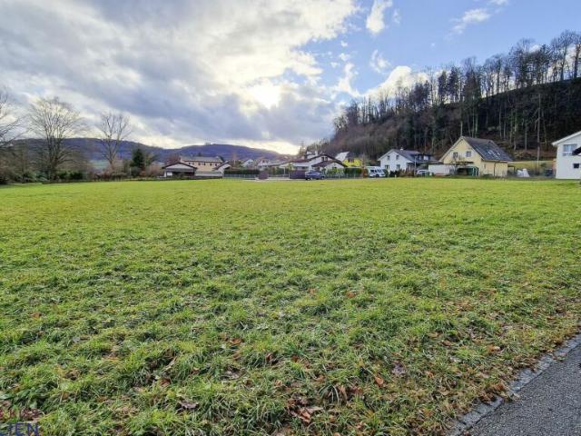 Grundstück kaufen in Wallbach, Aargau