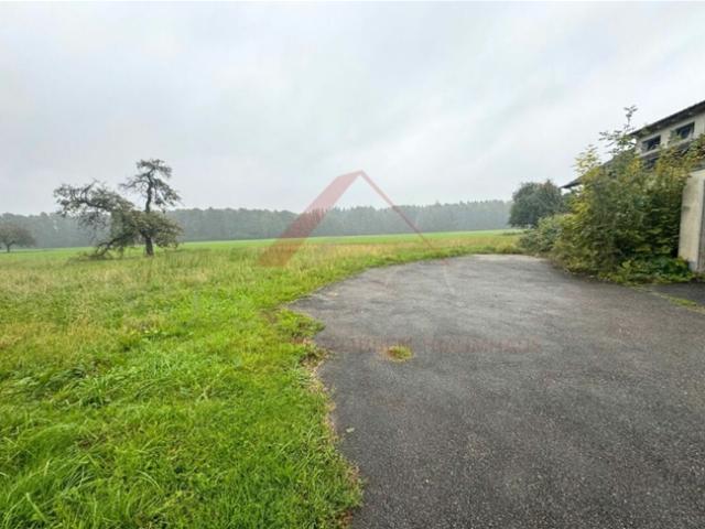 Einfamilienhaus kaufen in Graben, Bern