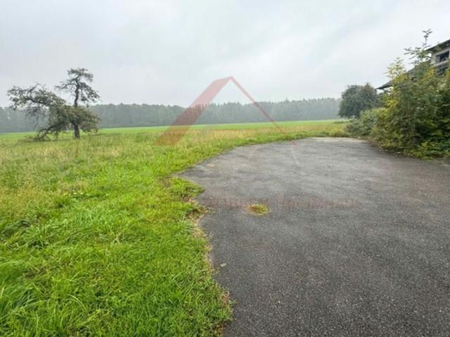Einfamilienhaus kaufen in Graben, Bern