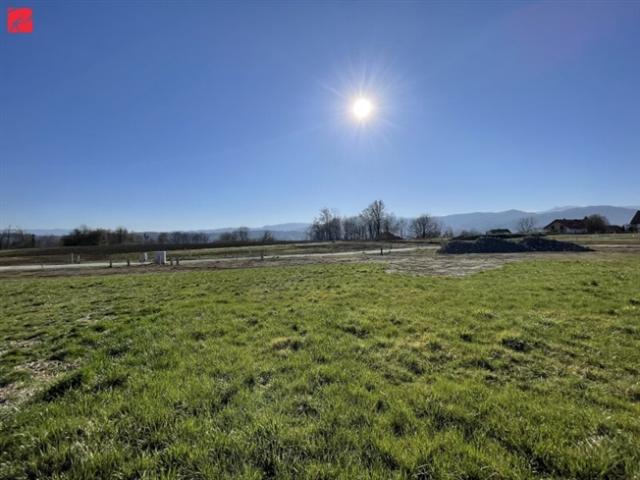 Grundstück kaufen in Frauental, Steiermark