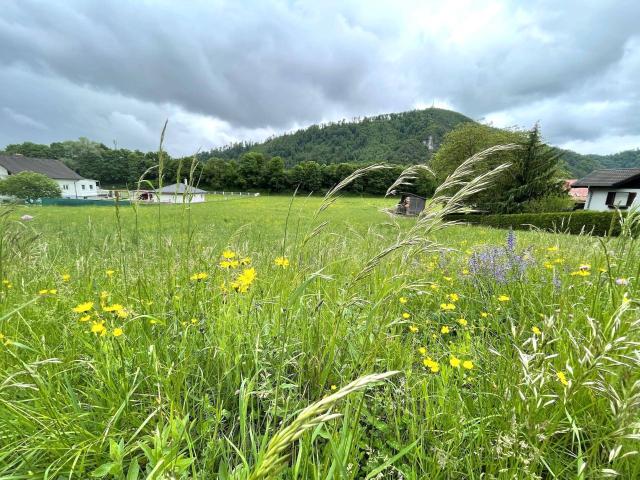 Immobilie kaufen in Gratkorn, Steiermark