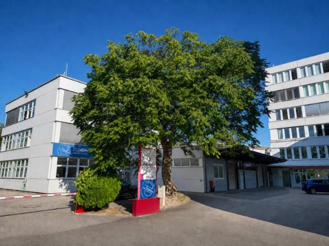 Gewerbe kaufen in Linz