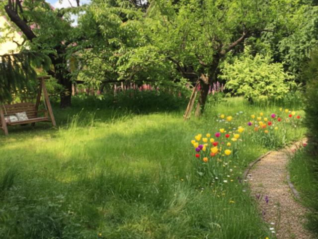 Erdgeschosswohnung kaufen in Berlin