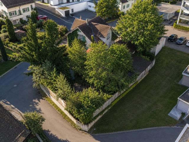 Immobilie kaufen in Menziken, Aargau