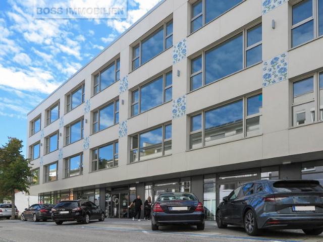 Immobilie kaufen in St. Dionysen, Traun