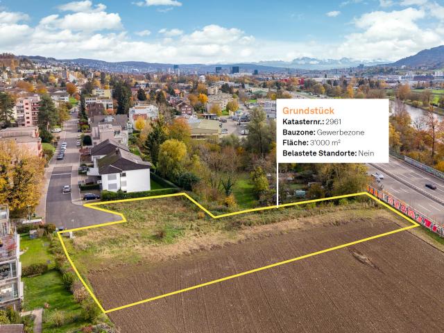 Immobilie kaufen in Unterengstringen, Zürich