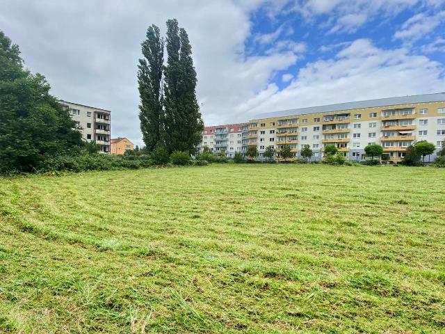 Erdgeschosswohnung kaufen in Südliche Mühlenvorstadt, Greifswald