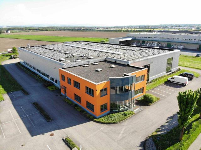 Gewerbe mieten in Ennsdorf, Niederösterreich