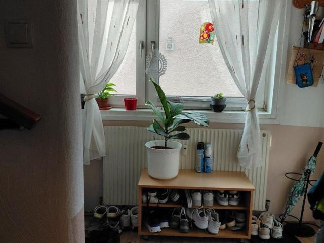 Haus kaufen in Hausmening, Amstetten