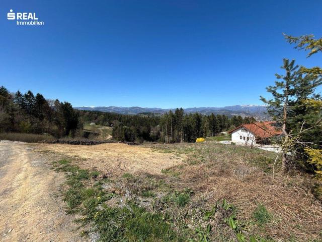 Immobilie kaufen in St. Martin am Wöllmißberg, Steiermark