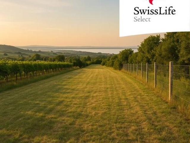 Grundstück kaufen in Jois, Burgenland