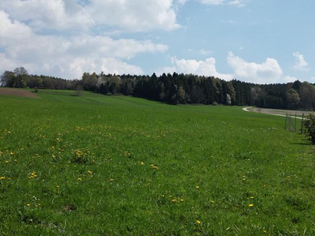 Grundstück kaufen in Feldkirchen bei Mattighofen, Oberösterreich