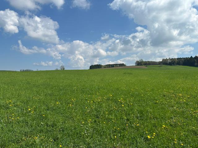 Grundstück kaufen in Feldkirchen bei Mattighofen, Oberösterreich
