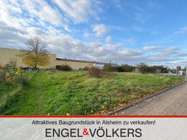 Erdgeschosswohnung kaufen in Alsheim, Landkreis Alzey-Worms
