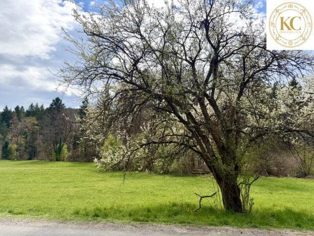 Grundstück kaufen in Andritz, Gersdorf-Feistritz