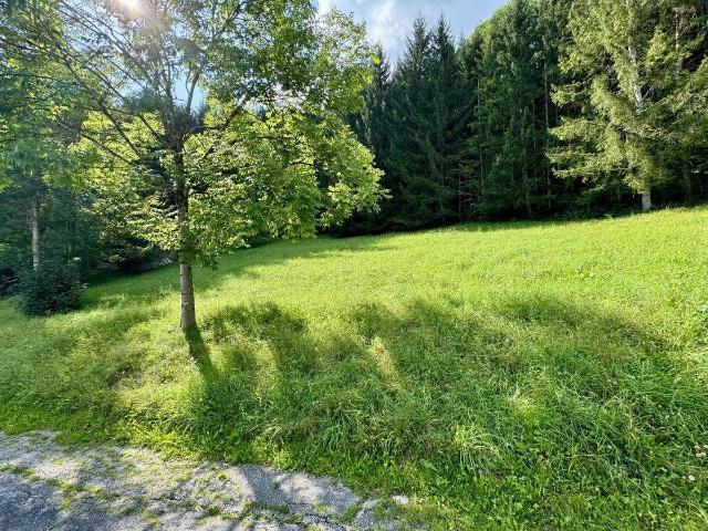 Immobilie kaufen in Gröbming, Steiermark