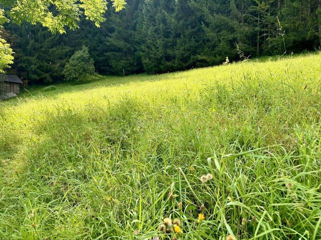 Immobilie kaufen in Gröbming, Steiermark