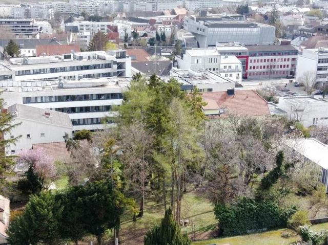 Grundstück kaufen in Eisenstadt, Burgenland