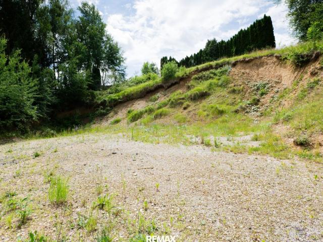 Grundstück kaufen in Schalchen, Oberösterreich